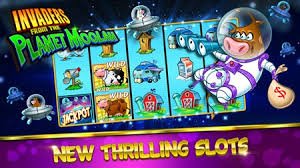 wicket71 apk